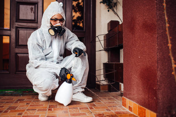 Reliable Termite Control contractor in Riverview, DE by Nex Pest Control